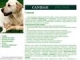 CANIDAE в Беларусии, корма для собак, корма для кошек, сухой корм, корма для животных, купить корм