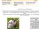 Купить монеты, марки, боны, открытки - Филателия, Нумизматика, Бонистика